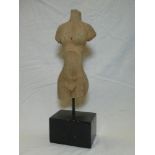 A wooden sculpture of a female torso 11" high on a wooden stand