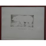 A black and white limited edition etching "Passive Polar Bear - Edinburgh" signed Robert Cummings
