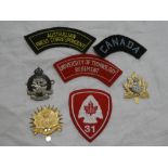 A selection of various Colonial military badges including Royal Newfoundland Regiment,