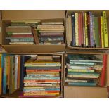 A large selection of various children's related volumes, annuals,