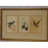 Artist Unknown - watercolours Three studies of hummingbirds with flowers,