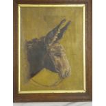 Artist Unknown - oil on canvas Head study of a donkey,