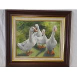 Hilary Mayes - oil on canvas Study of four ducks, signed,