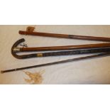 A gentleman's slender polished wood walking cane with gold plated mounts,