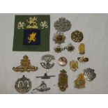 Various military badges,