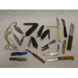 A small display case containing a selection of various folding knives and other knives including