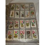 Two albums containing sets and part sets of cigarette cards - mainly natural history including