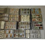 A large selection of various cigarette,