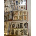 Three albums containing part sets of cigarette cards including Godfrey Phillips - Beauties of Today;