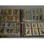 Four albums containing sets and part sets of large size cigarette cards including Players - Racing