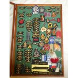 A selection of various military badges and other badges including Civil Defence Corps badges with