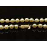 A single strand of pearls with 9ct gold clasp,
