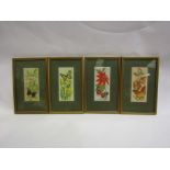 Four framed and glazed silk pictures of butterflies