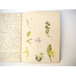 A manuscript students album of natural history observations and well executed watercolour sketches