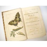 [Laetitia Jermyn, afterwards Ford]: 'The butterfly collector's Vade Mecum: with a synoptical table