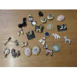 22 poodle brooches some of oval and circular form