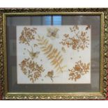 Two decorative pressed flower pictures,