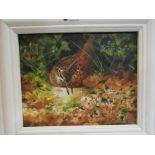 JAMES PORTER (XX/XXI): A framed acrylic on board of a Woodcock.