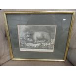 An 18th Century black and white engraving of the White Bear,