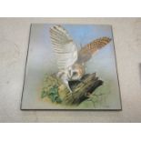 Three bird prints mounted onto board including owls in flight and eagle with fish,