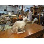 A Winstanley white mottled hare, restored,