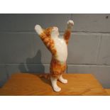 A Winstanley ginger tabby with white socks, standing on back legs, glaze a/f to back,