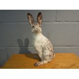 A Winstanley white mottled seated hare, 32cm tall,