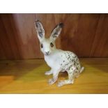 A Winstanley white mottled hare,