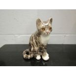A Winstanley seated grey tabby cat,