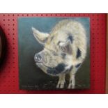 GINA HARDY (Norfolk artist): Sow pig, acrylic on canvas, 25.
