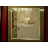 JOHN W. HILLS (XX): Barn owl in flight, gouache, framed and glazed, 30cm x 32.