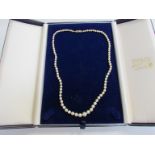 A single strand of graduated pearls, clasp stamped 9ct,