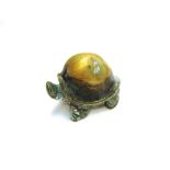 A Japanese brass snapper turtle,