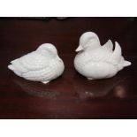 A pair of white porcelain Teal duck figures