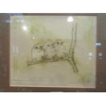 ANDREW RICHARDSON (XX): A print of chicks on a branch dated 1976, signed, framed and glazed,