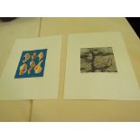 PETER DEVENISH (XX): Two contemporary limited edition screen prints "Broken Shells on Blue" 13/15