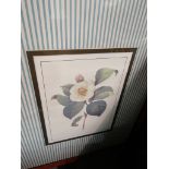 A quantity of assorted pictures including horticultural prints and seaside watercolours