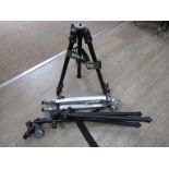 Three camera tripods including Benbo and Manfrotto