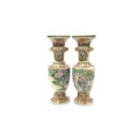 A pair of Chinese porcelain vases, early 20th Century painted with hawk and other birds,