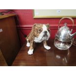 A Winstanley Bulldog