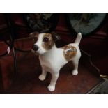 A Winstanley Jack Russell