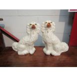 A pair of Staffordshire dogs