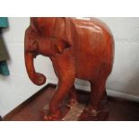 A carved hardwood elephant figure,