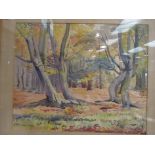 ROSE K HUGH-JONES (XX): A watercolour 'Epping Forest', circa 1980, framed and glazed,