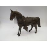 A bronze figure of an Arabian horse,