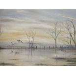 SHIRLEY CARNT: An oil on canvas depicting ducks in marshes, signed lower right, 40cm x 50cm,