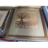 A pencil study of tree in meadow, framed and glazed,