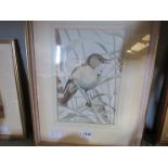 JOHN TENNENT (1926): A watercolour of Reed Warbler, signed lower left, 25cm x 17cm,
