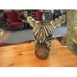 Two pottery tiger and zebra head design vases, both signed Maggie to base,