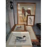 A collection of bird theme watercolours etc.